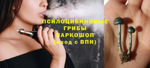 дмт Алексеевка