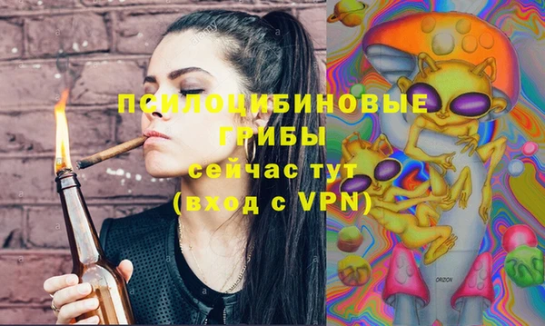 дмт Алексеевка