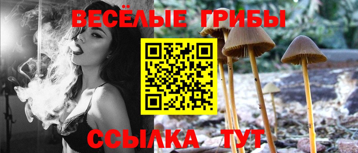 Борзя  Псилоцибиновые грибы Cubensis  Псилоцибиновые грибы GOLDEN TEACHER  цены   Вход с VPN 